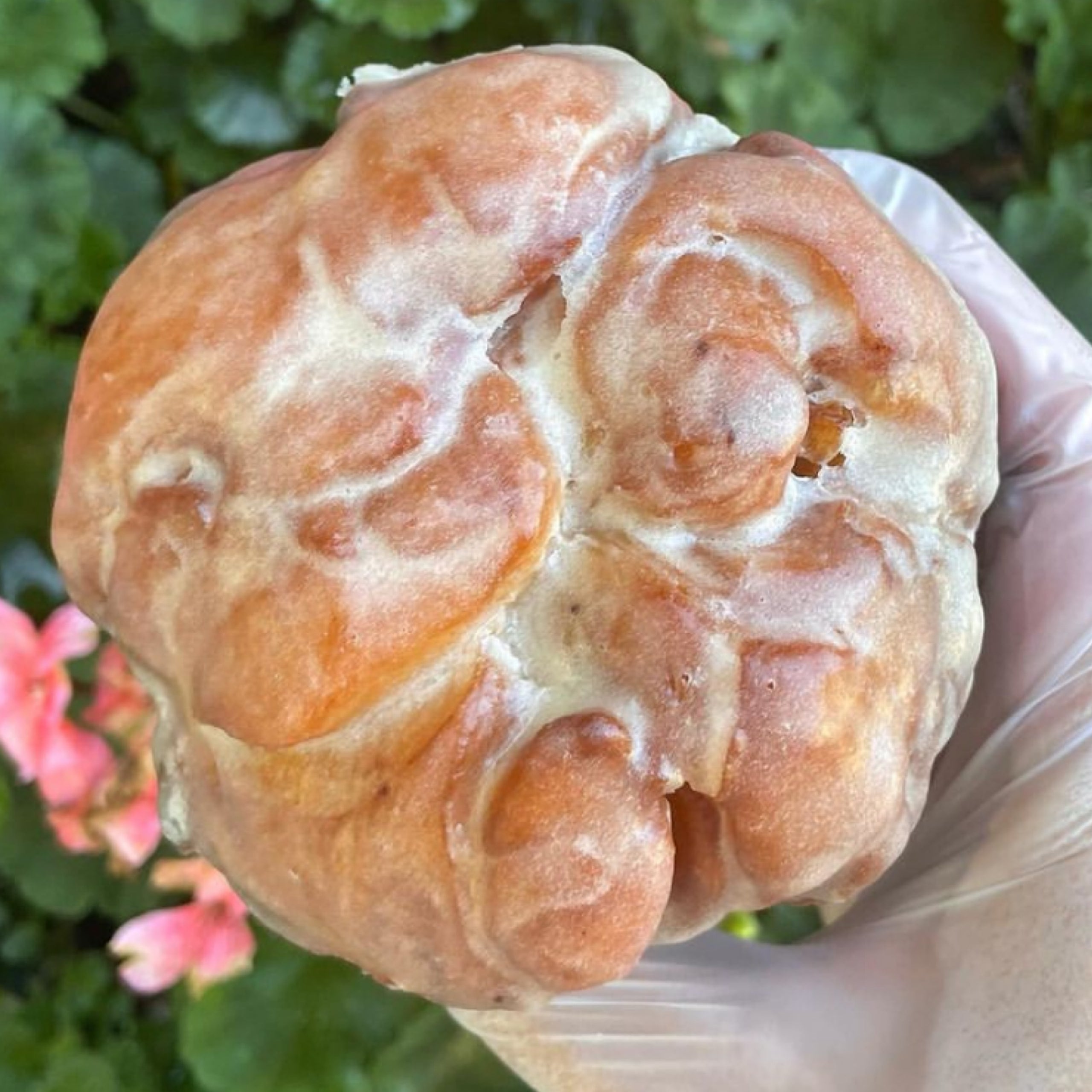 Apple Fritter Yellow Rose Vegan Bakery & Cafe