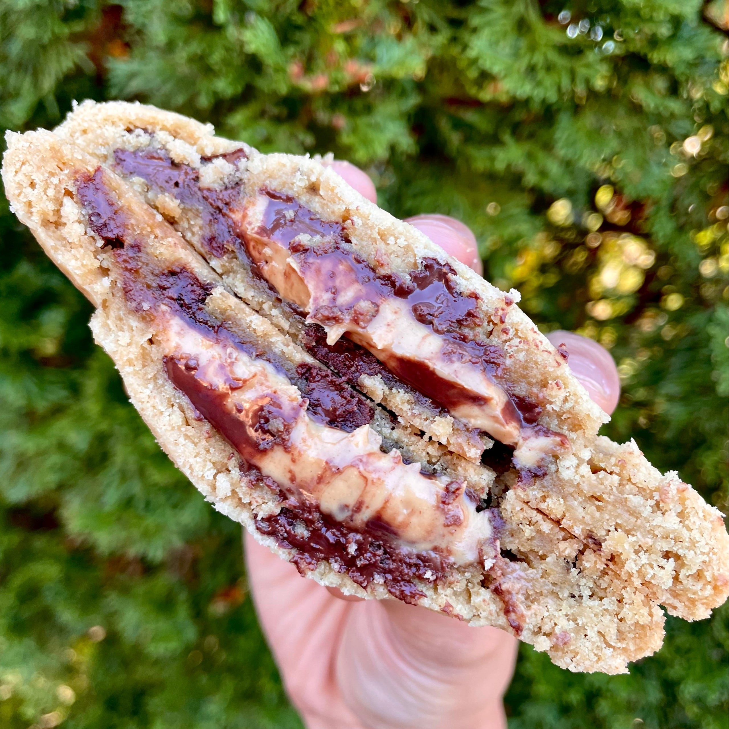 Jumbo Peanut Butter Cup Stuffed Cookie Yellow Rose Vegan Bakery & Cafe